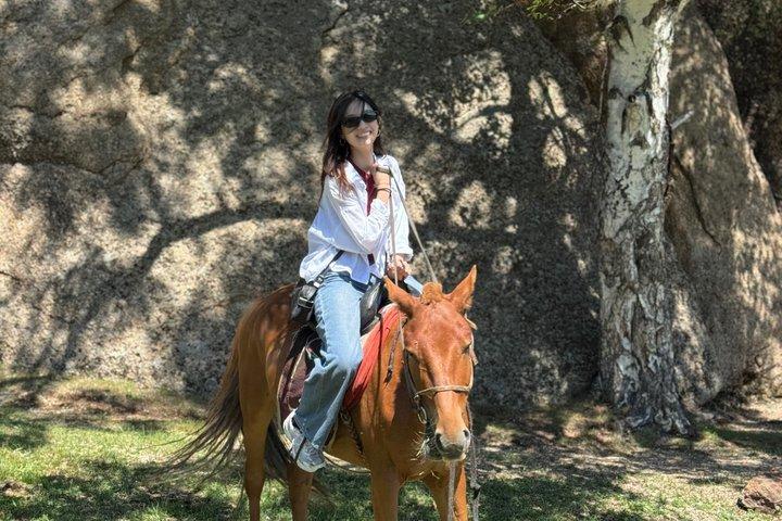 Horse riding in Terelj National Park
