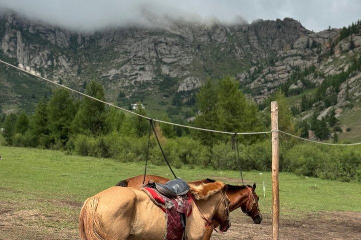 Horse riding in Terelj National Park