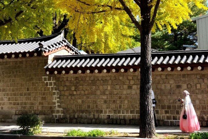 Seoul Private Local Tour: Gyeongbokgung, Seochon & Market Tour