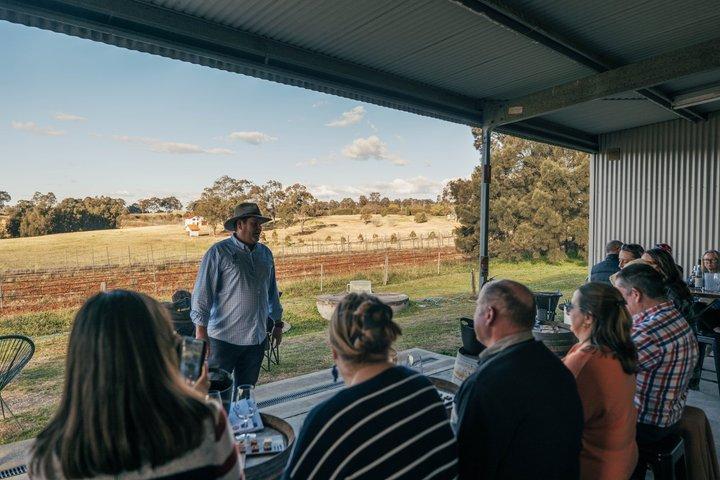 Boutique Hunter Valley Wine Tour with Local Pickup