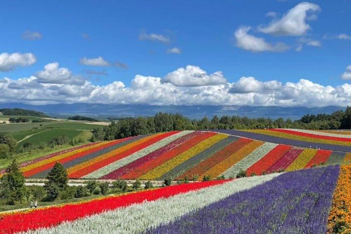 Hokkaido Farm Tomita, Shikisai Oka, Waterfall, Blue Pond Day Tour
