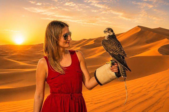 Dubai Desert Red Dune Half-Day Safari Adventure and BBQ Dinner