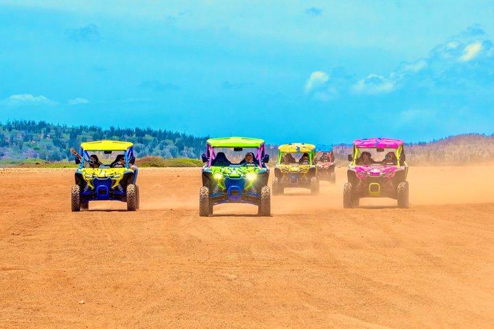 Aruba UTV Off-Road Driving Experience North Coast Stops