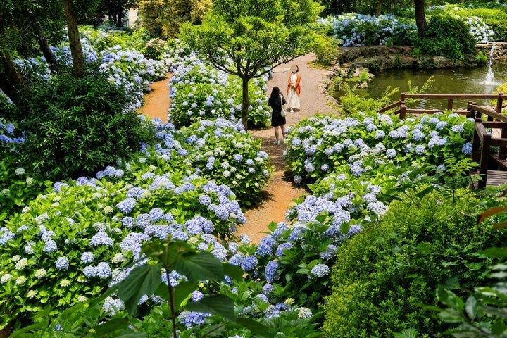 Jeju South and West Highlights Tour with Hallasan and Lava Cliff
