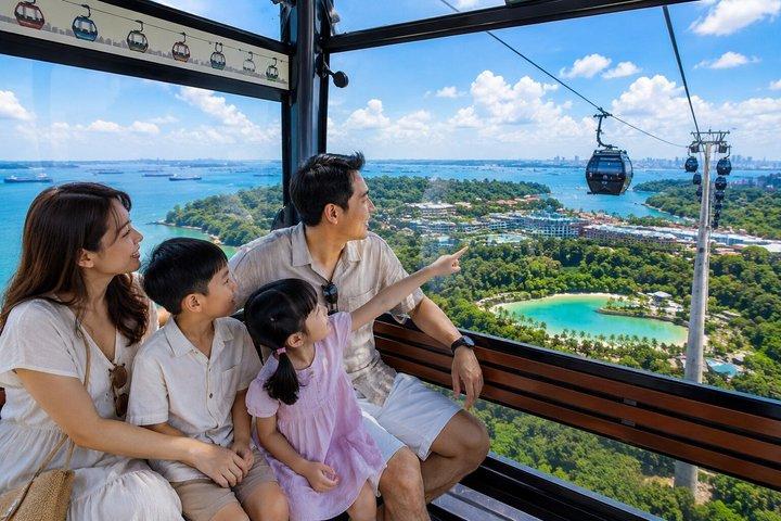 Skip the Line: Singapore Cable Car Sky Pass (Round-Trip)