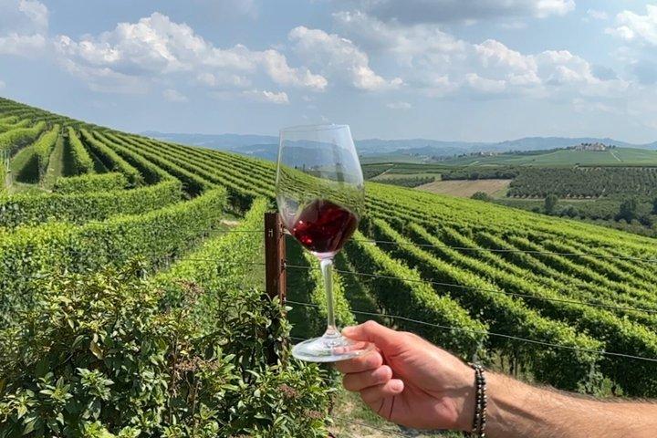 Small-Group Barolo Wine Tasting, Alba & UNESCO Piedmont Hills