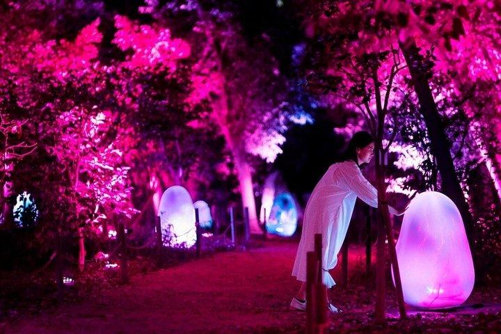 TeamLab Botanical Garden Osaka Interactive Light Art Ticket