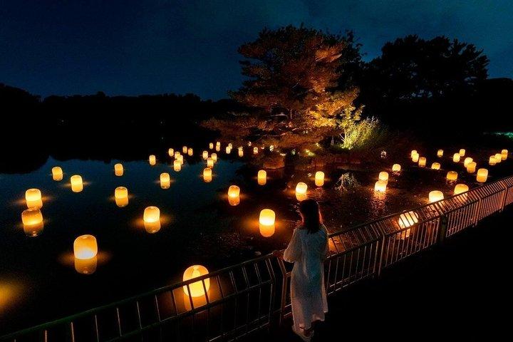 TeamLab Botanical Garden Osaka Interactive Light Art Ticket