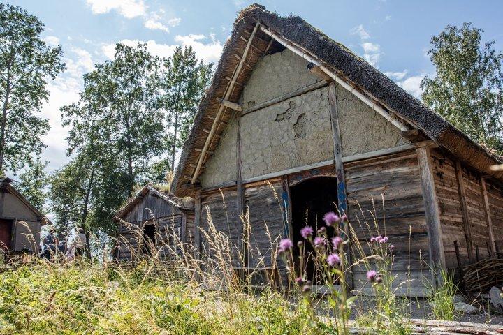 Experience Birka Viking City & Museum - Boat Tour from Stockholm