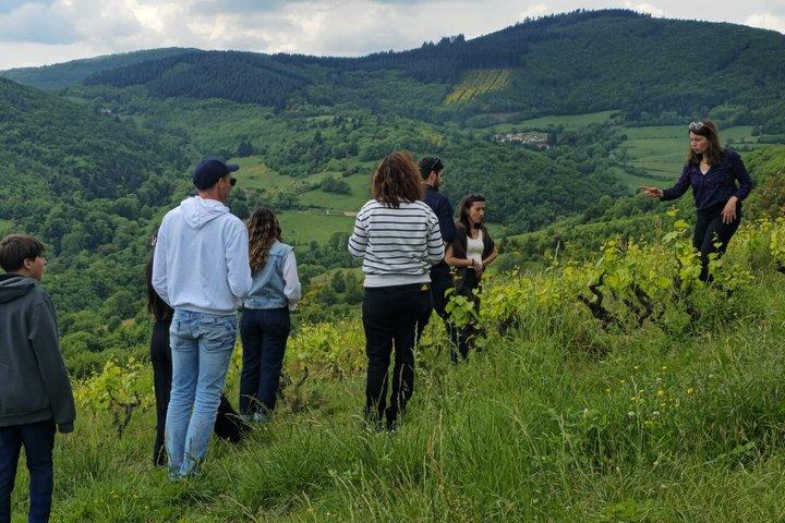 Beaujolais Wine Tasting Tour from Lyon