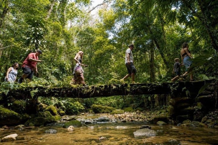 Rio : Half-Day Jeep Tour at Tijuca Forest