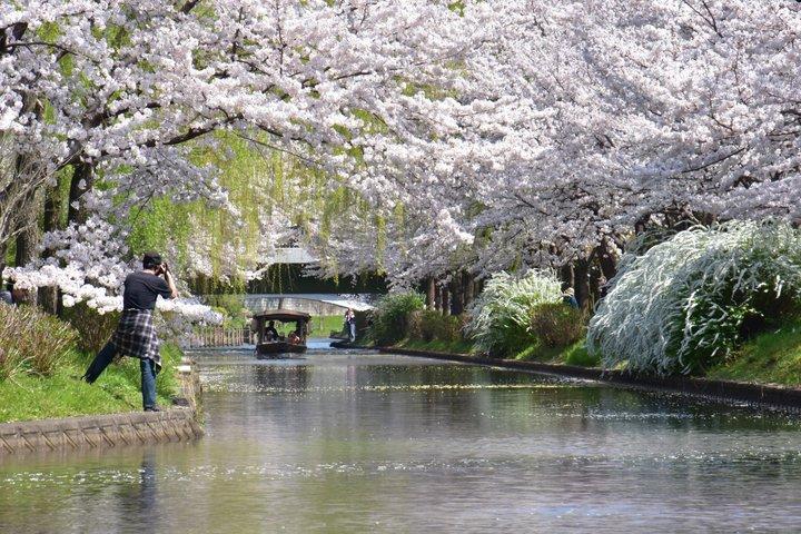Kyoto Fushimi Tour with Canal Boat Ride and Sake Tasting