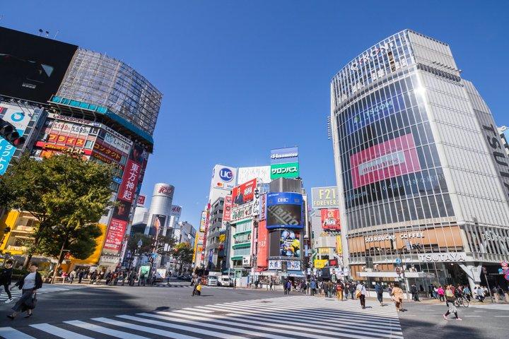 Haneda Layover tour of 5hours with local Japanese guide by car