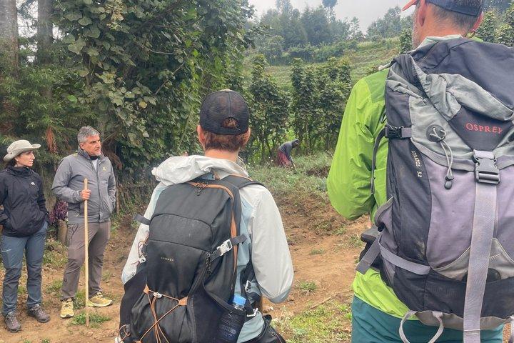 Rwanda nature Walking Tour in park and out park