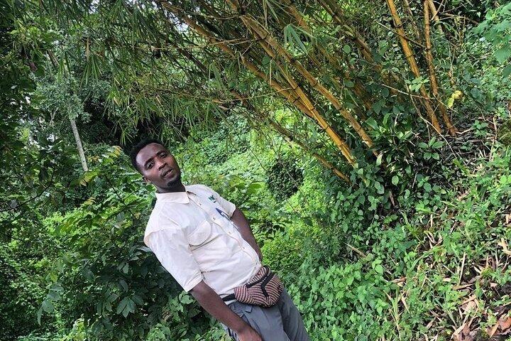 Rwanda nature Walking Tour in park and out park