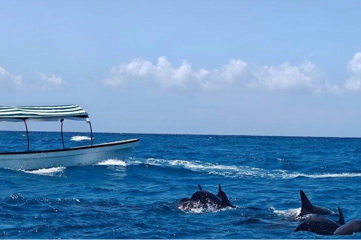Zanzibar Mnemba Island Snorkeling and Dolphin Watching Adventure