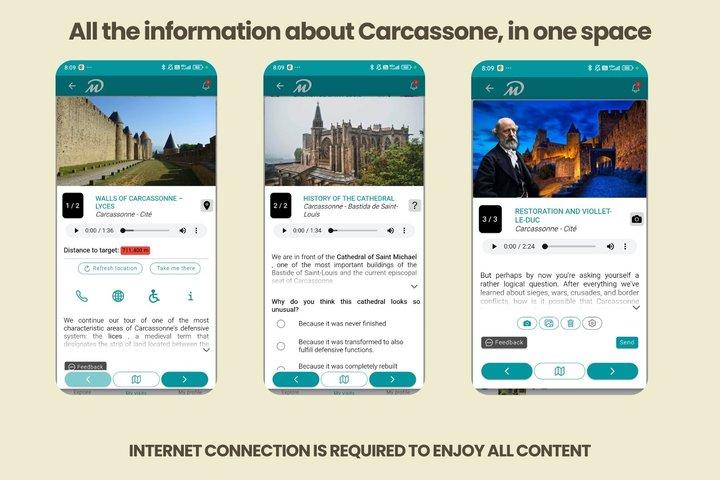 TOP Carcassonne : Private Guided Tour with your mobile
