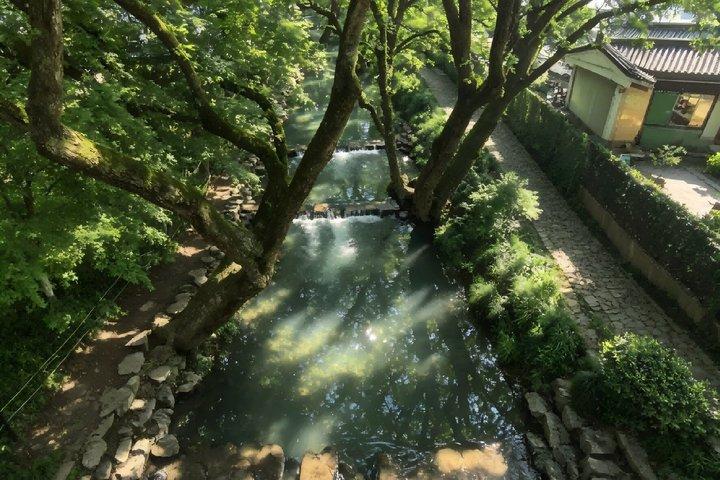 Hangzhou Nine Creeks Dragon Well Half Day Hiking Tour
