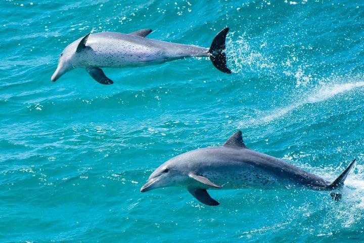 North Stradbroke Island Day Tour from Brisbane – Small Group