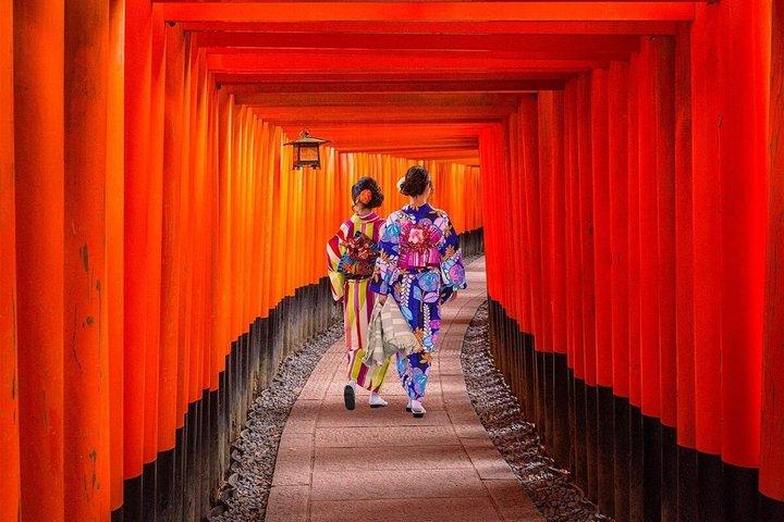 Kyoto Luxury Private Car Tour with Local Guide-Nara&Osaka Options