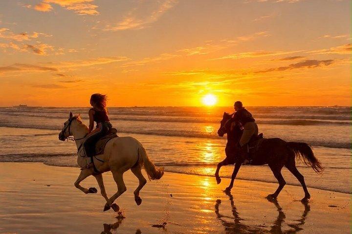Agadir Horse Riding Experience on the Beach with Sunset Option