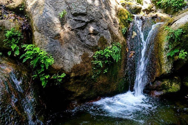 Rishikesh: Himalayan Cave Hike with Beatles Ashram visit