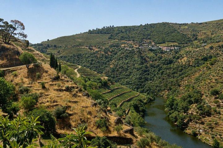 Small-Group Douro Valley Tour: 3 Wineries & Winery Lunch