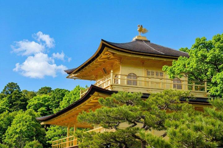 Kyoto & Uji: Full Day Sightseeing Tour from Osaka or Kyoto