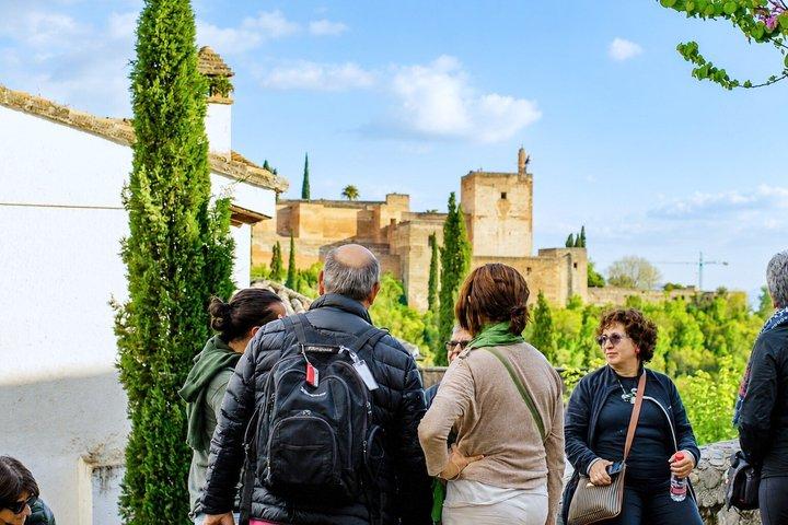 Granada Hybrid Walking Tour: Albayzin and Sacromonte