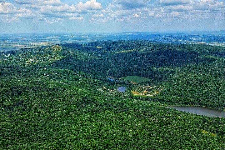 Full day tour to Plaiul Fagului Reserve, Honey & Monastery