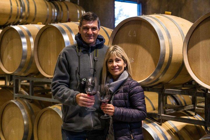 Vineyards Tour in Mendoza: Wine & Olive Oil Tasting Experience