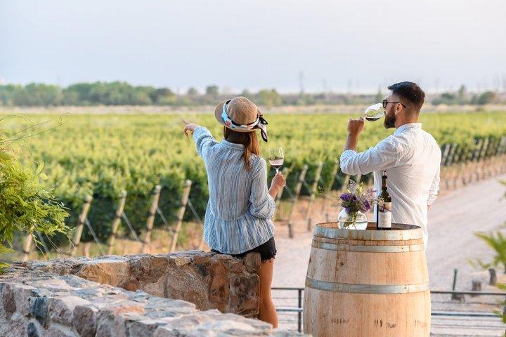 Vineyards Tour in Mendoza: Wine & Olive Oil Tasting Experience