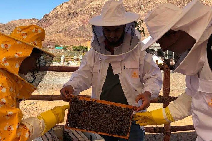 Hatta Mountain Tour from Dubai with Dam and Heritage Village