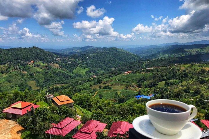 Private Doi Mae Salong and Doi Tung Guided Tour from Chiang Rai