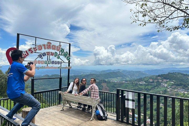 Private Doi Mae Salong and Doi Tung Guided Tour from Chiang Rai
