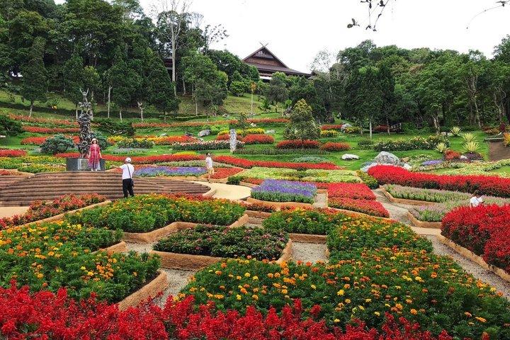 Private Doi Mae Salong and Doi Tung Guided Tour from Chiang Rai