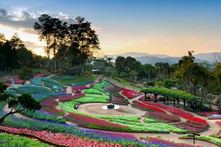 Chiang Rai Private Mountain Tour Doi Mae Salong and Doi Tung