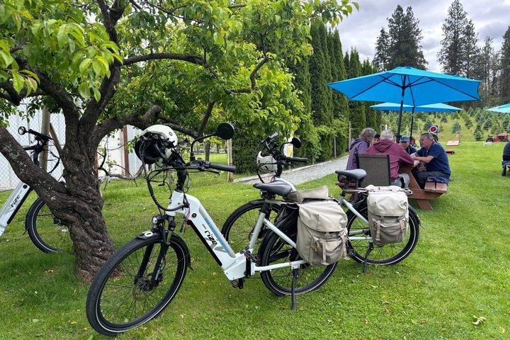 Kelowna E-Bike Bee Tour, Tastings, Organic Lunch & Audio Guide