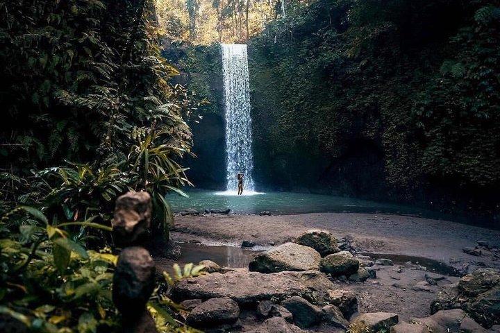 Ubud Private Tour : Tirta Empul, Tegalalang & Waterfalls