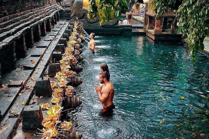 Ubud Private Tour : Tirta Empul, Tegalalang & Waterfalls