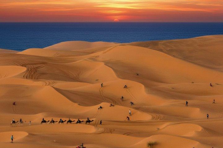 Agadir & Taghazout 3-in-1 Tour: Sandboarding, Camel Ride & BBQ