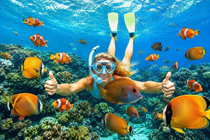 All Inclusive : Bali Blue Lagoon Snorkeling, Lunch, and Transport