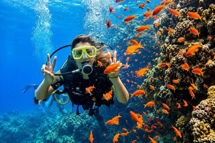 All Inclusive : Bali Blue Lagoon Snorkeling, Lunch, and Transport