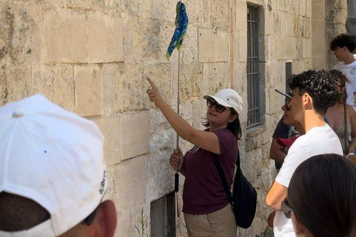 Matera Day Trip with Group Transfer from Bari