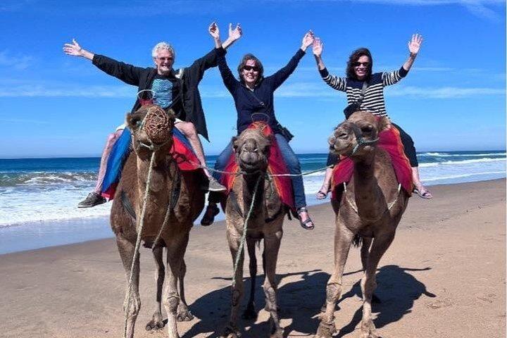Tangier Shore Excursion Tailored for Cruise Passengers