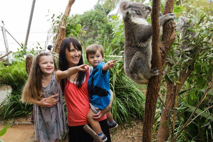 WILD LIFE Sydney Zoo Ticket