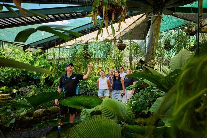 Cairns River Cruise and Cairns City Sights Tour
