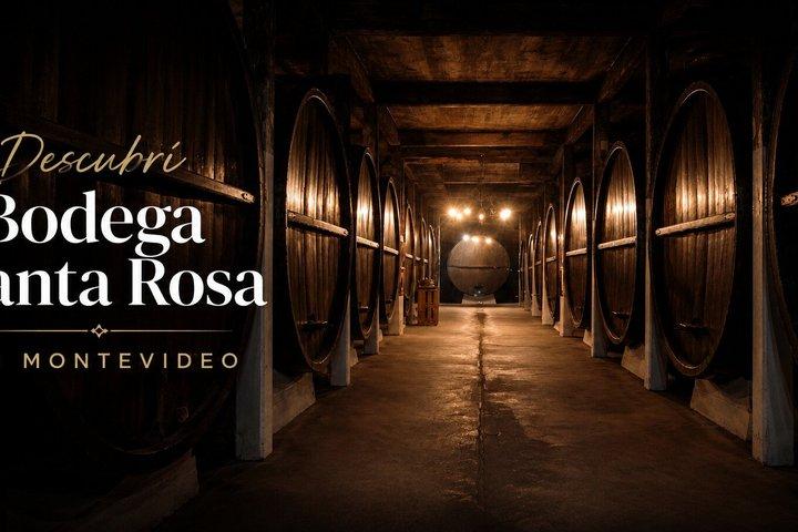 Montevideo Bodega Santa Rosa : tour - Tasting - Lunch