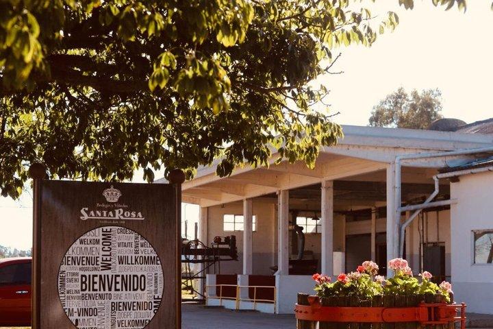 Montevideo Bodega Santa Rosa : tour - Tasting - Lunch
