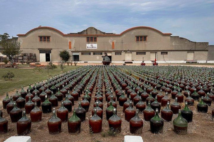 Montevideo Bodega Santa Rosa : tour - Tasting - Lunch